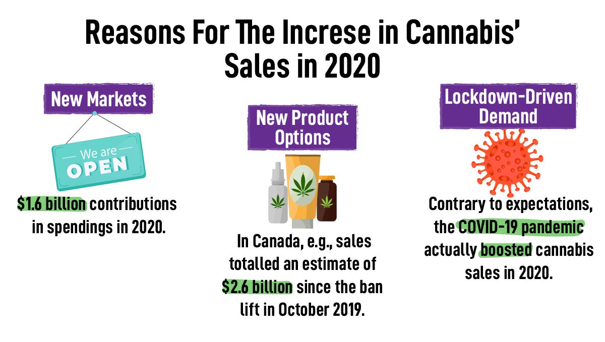 全球合法大麻销售额达210亿美元：你该加入了吗？: 2020年大麻销售增长的原因