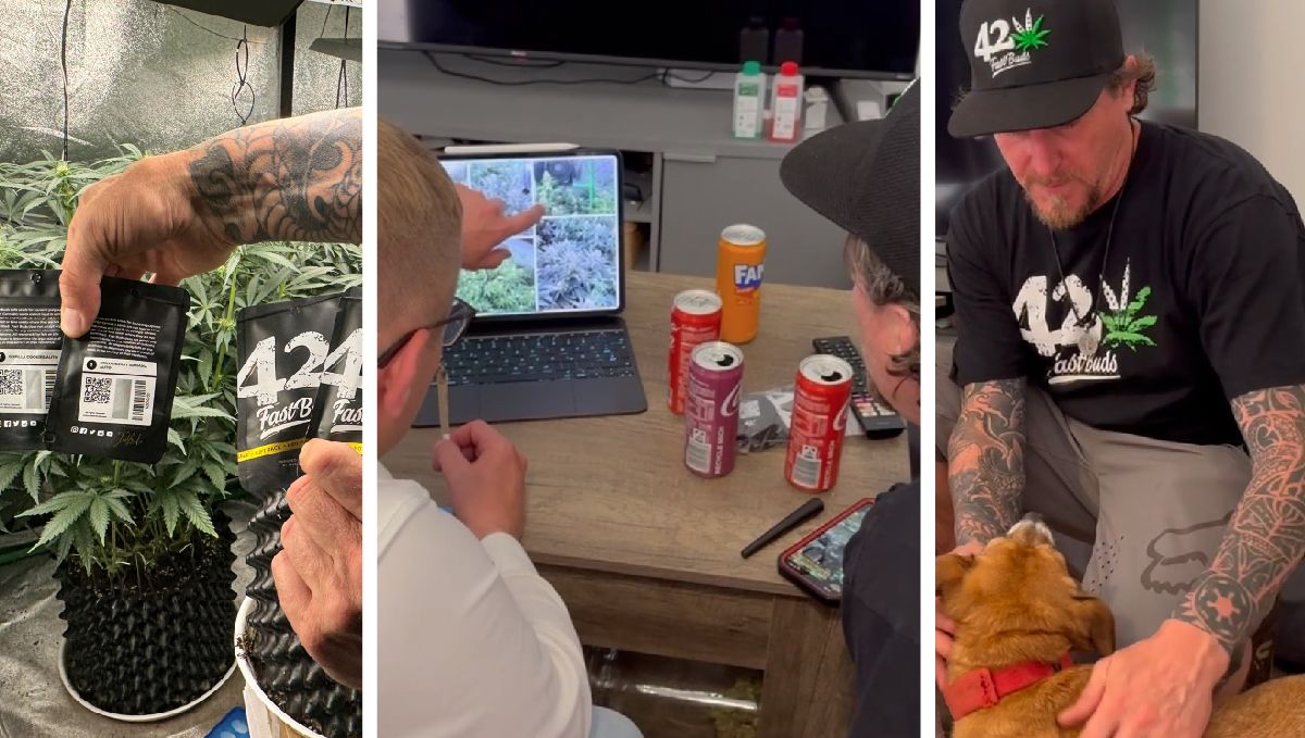 Grow Tour | Fast Buds visits Patricks Grow in Hamburg