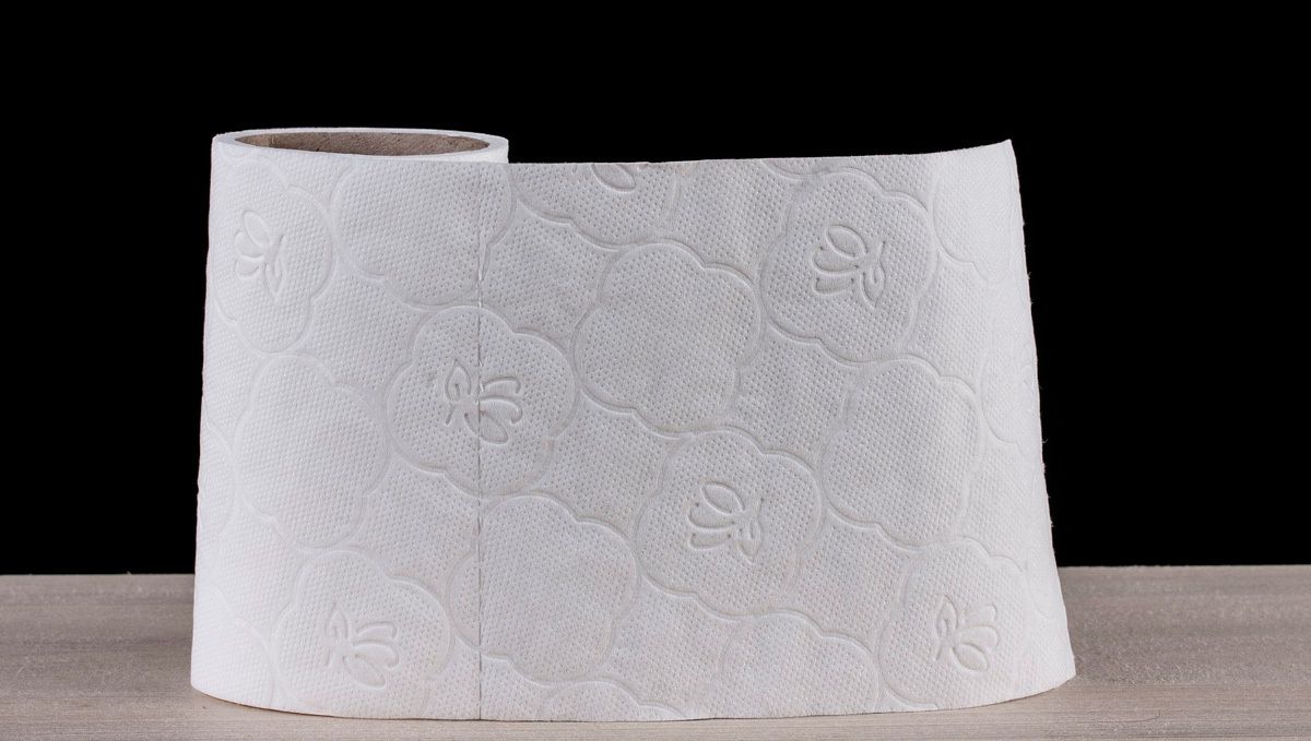 What to Do if Your Plants Stash Gets Wet?: Paper towel