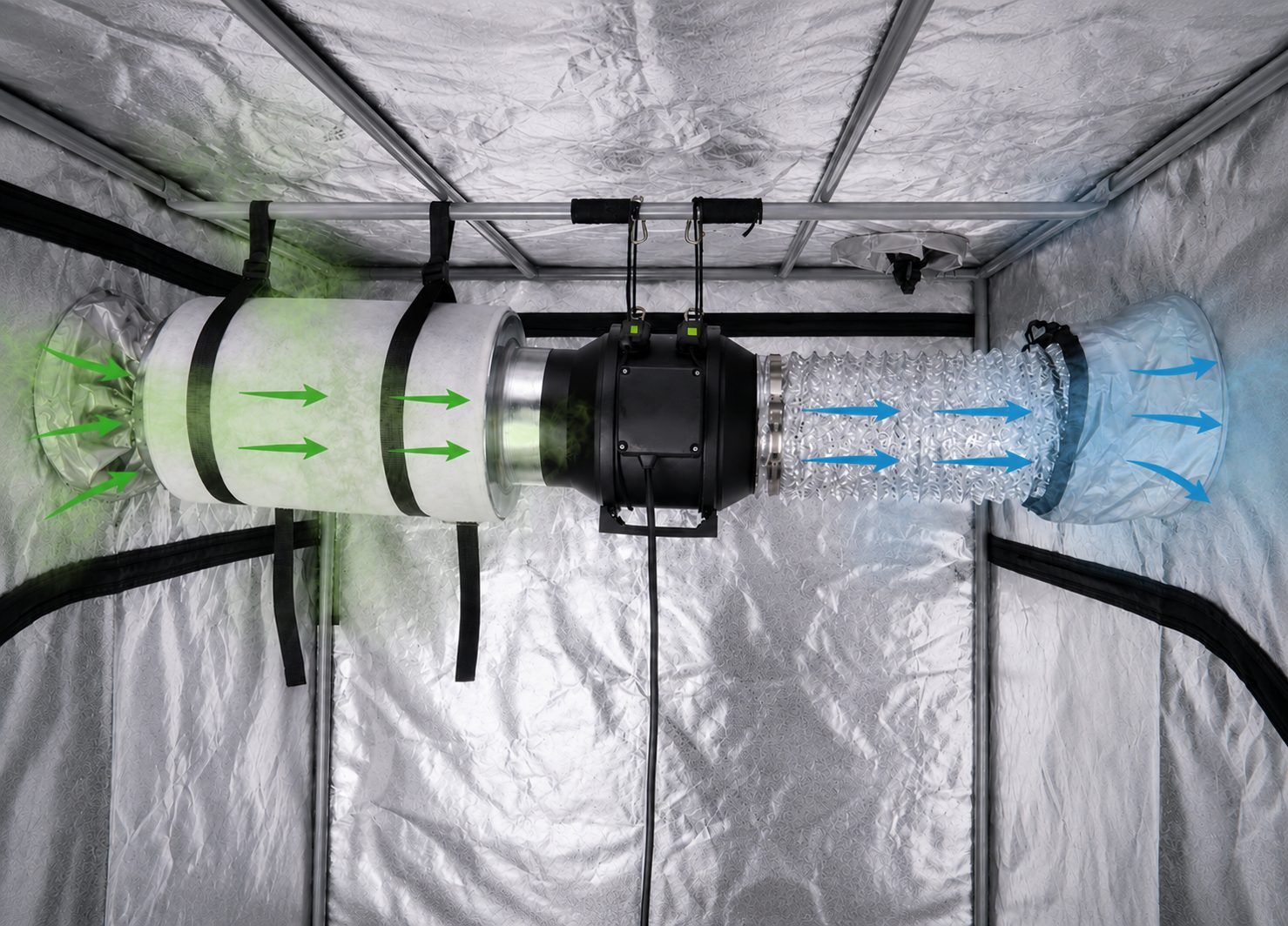 A carbon filter and exhaust fan are vital during flowering.