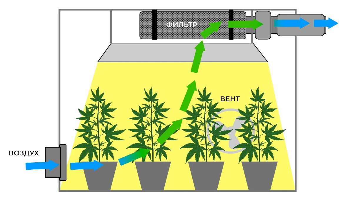 700bb8380b0287026b6ce97a1557d640.jpg When do Autoflowers Start to Smell?: Controlling smell with Carbon Filter