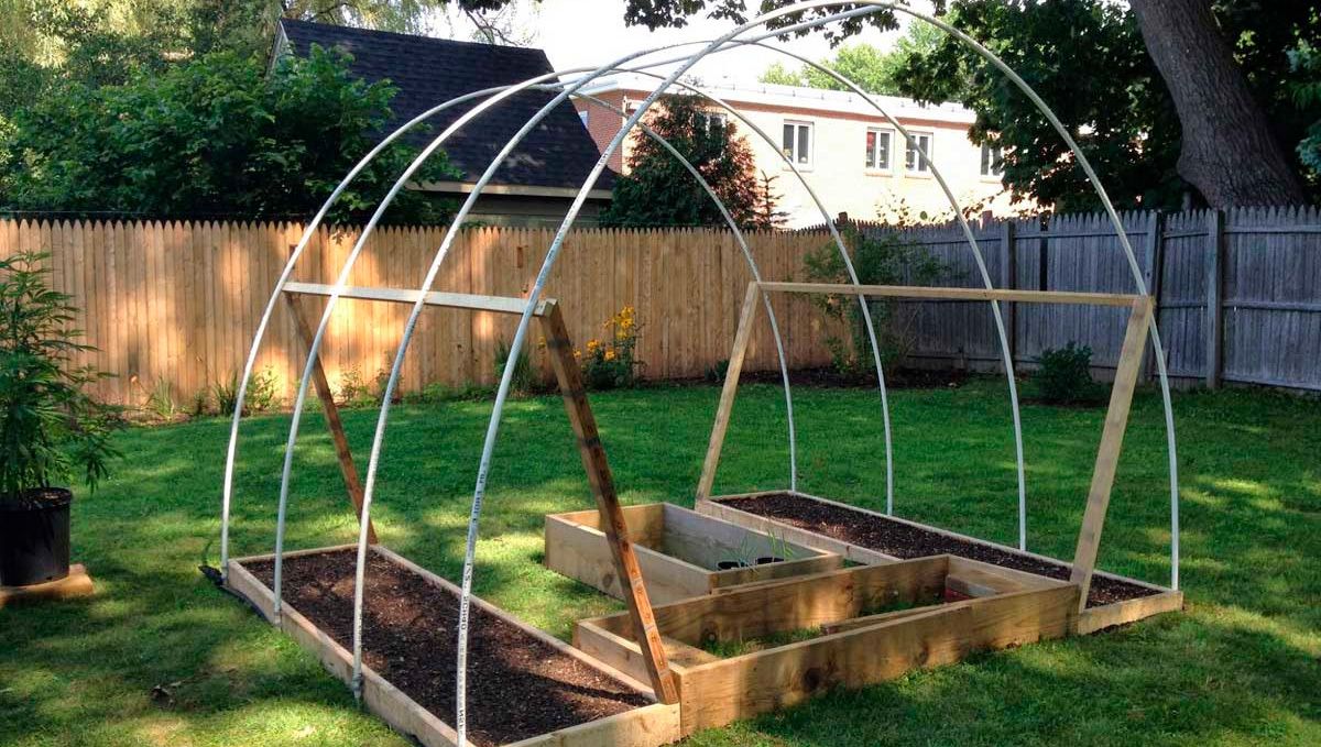 Can i grow auto plants outdoors: plan ahead