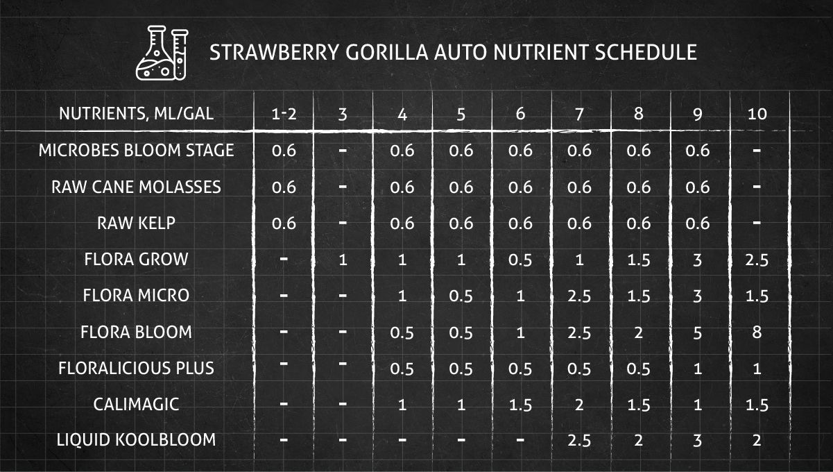Strawberry Gorilla Auto Cannabissorte: N&auml;hrstoffplan