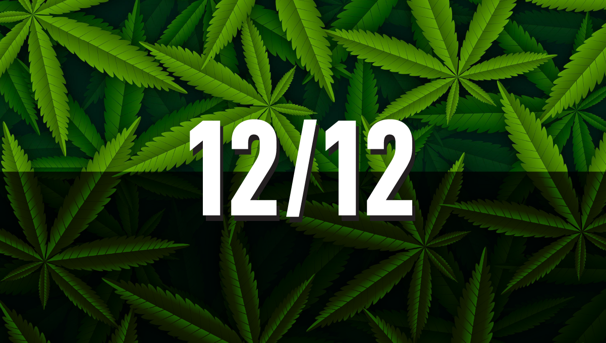 Bedste lysplan for autoflowers: 12/12 Lyscyklus for cannabisplanter