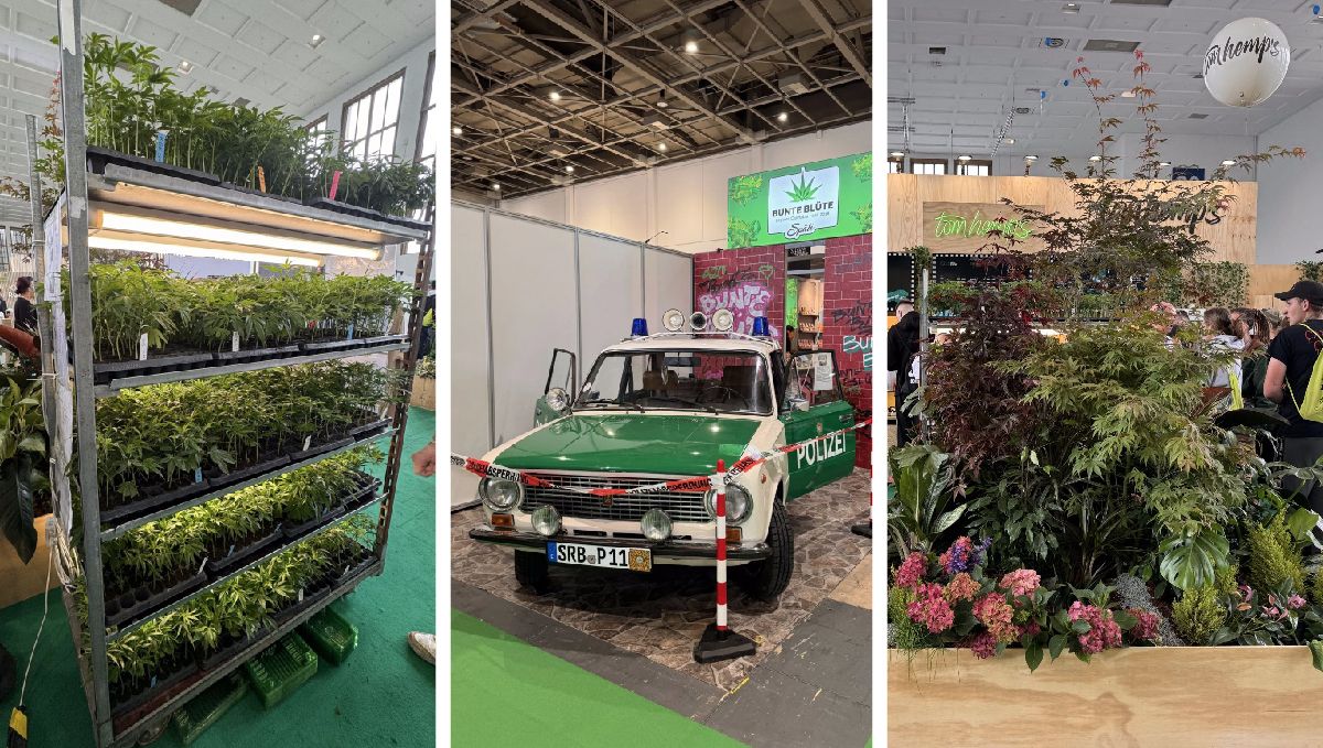 Mary Jane 2024: The 1st Weed-Legal Expo in Europe