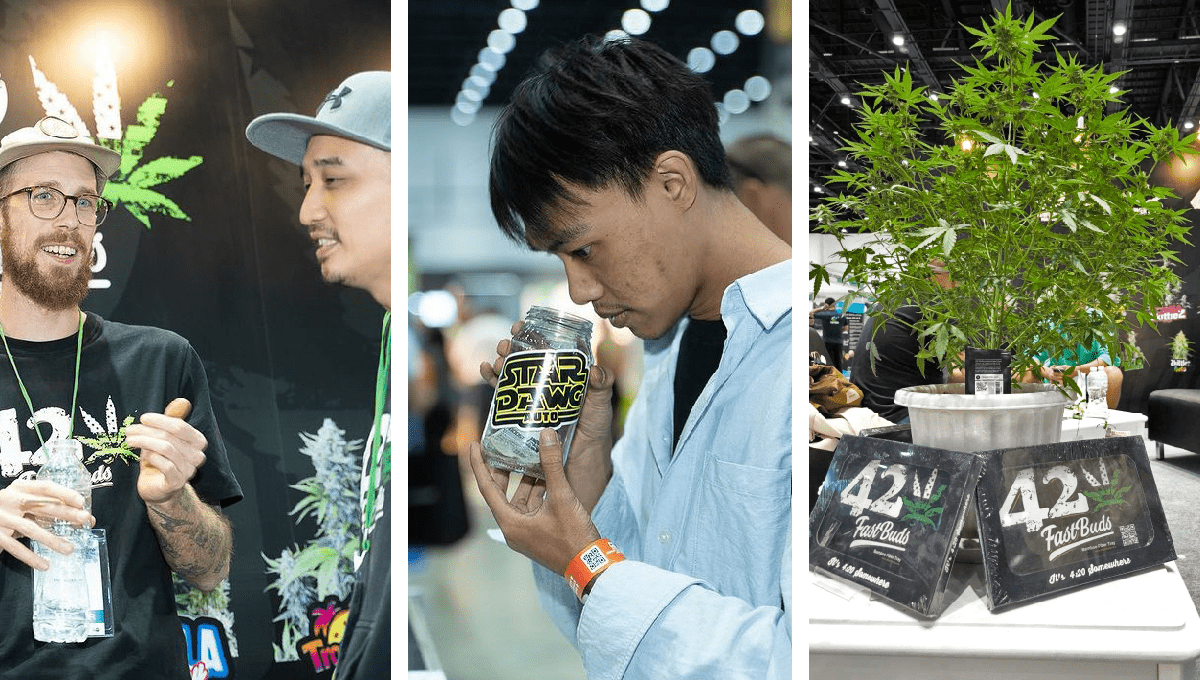 Asia International Hemp Expo: Ein einzigartiges Erlebnis