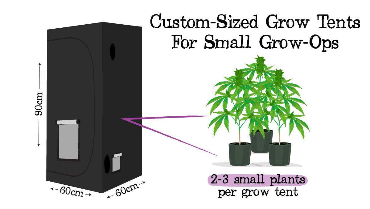 Grow small plants plants in tiny spaces: picking the right seed