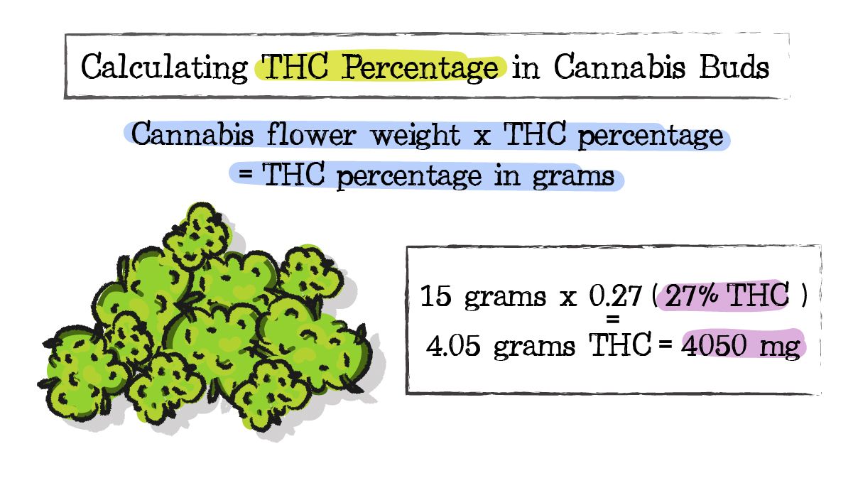 How to make plants sugar: calculating strength content