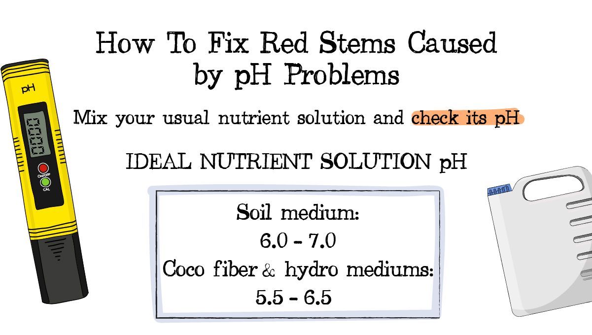 Red and purple plants stems: Ph levels