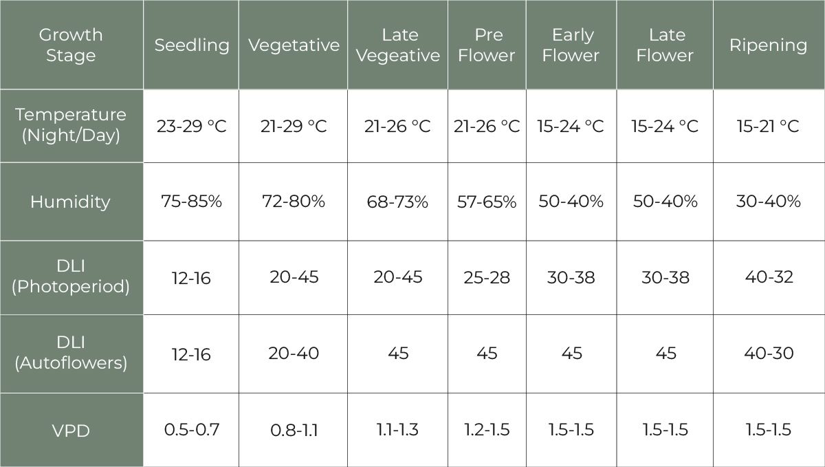 Features of growing plants in Thailand: Perfect conditions for plants