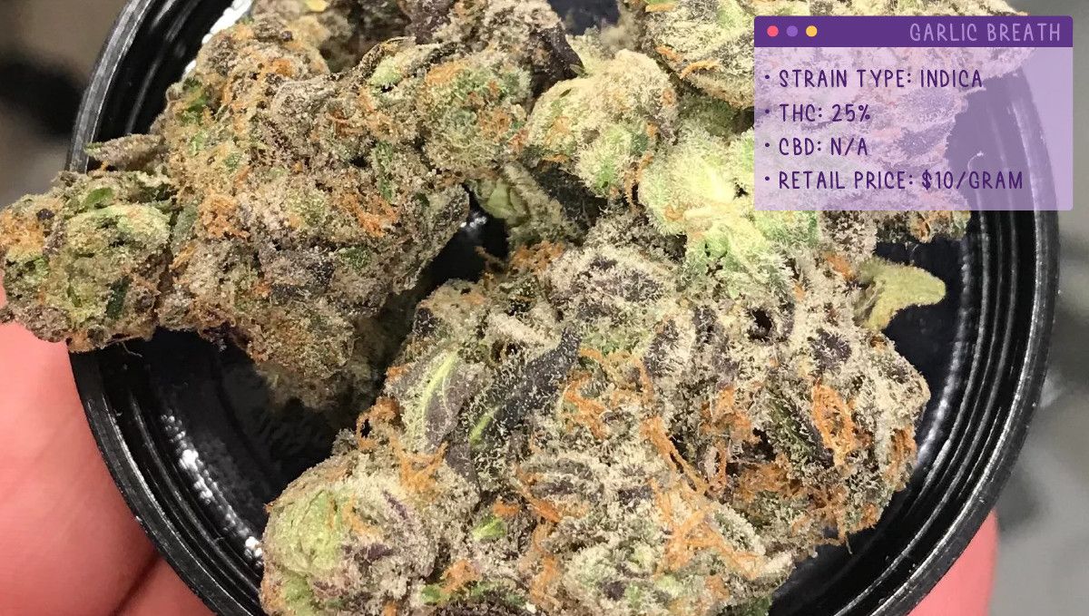 22 Beste Weed Sorten zum Probieren 2022: Garlic Breath