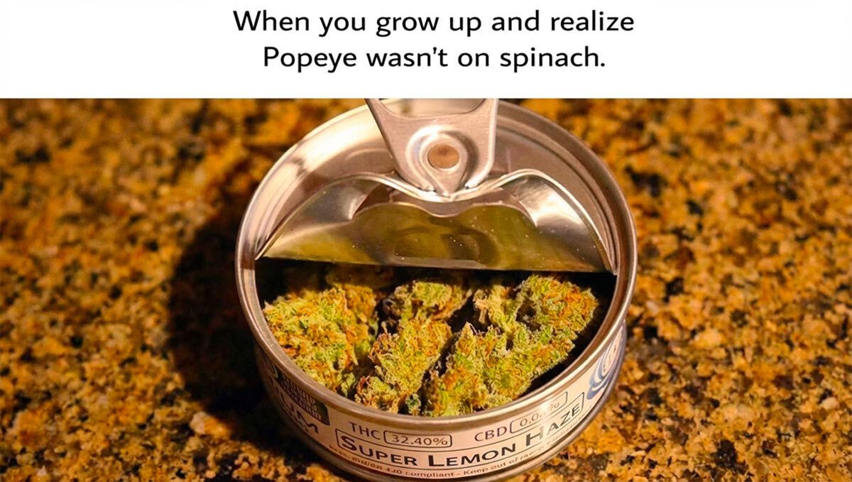 Ein witziges Meme, das die Cleverness von Cannabis-Growern zeigt.
