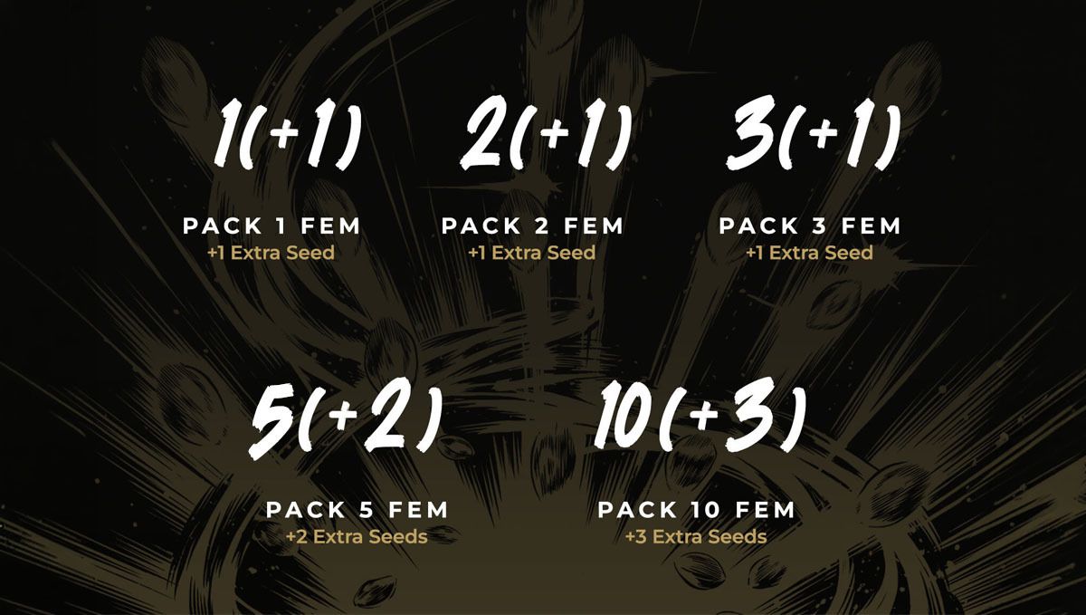 new packs
