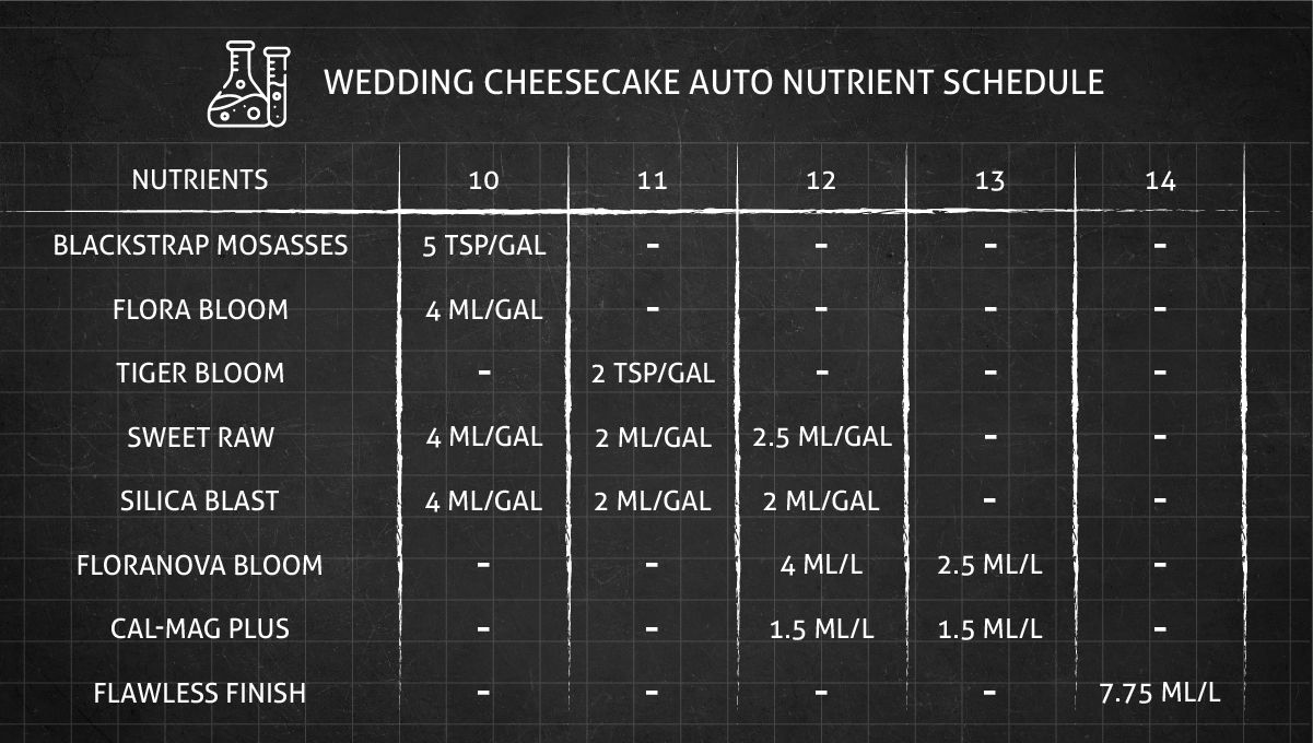 Feeding Regimen Week 10 to 14