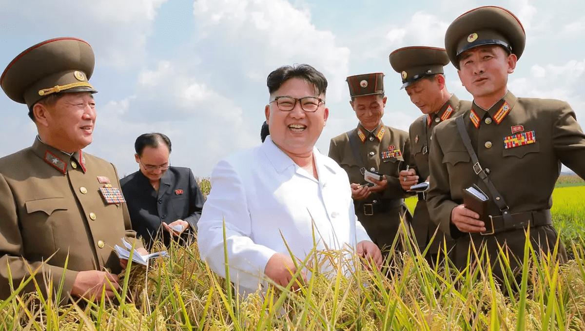 Plants in north korea: history and politics