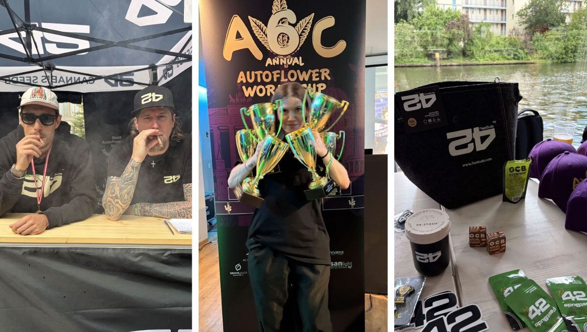 AWC 2026での6つの勝利