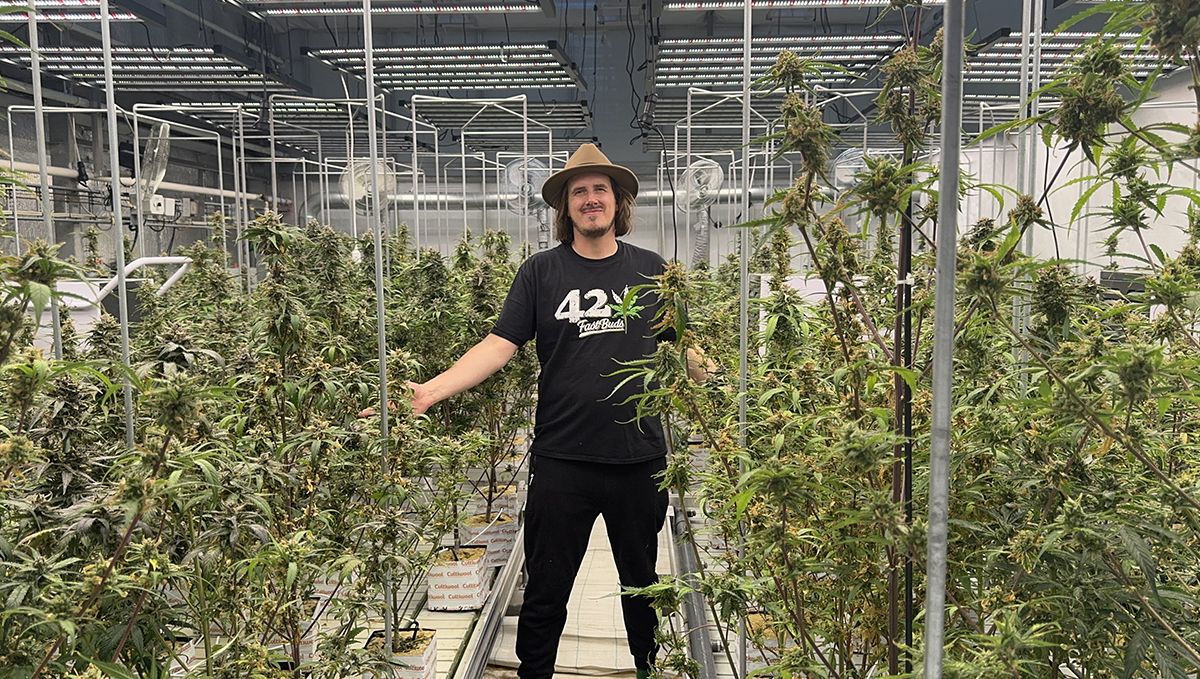 Das Potenzial der triploiden Genetik zur Revolutionierung der Plantsindustrie: Ein Fast Buds-Mitarbeiter in einer Plants-Anlage