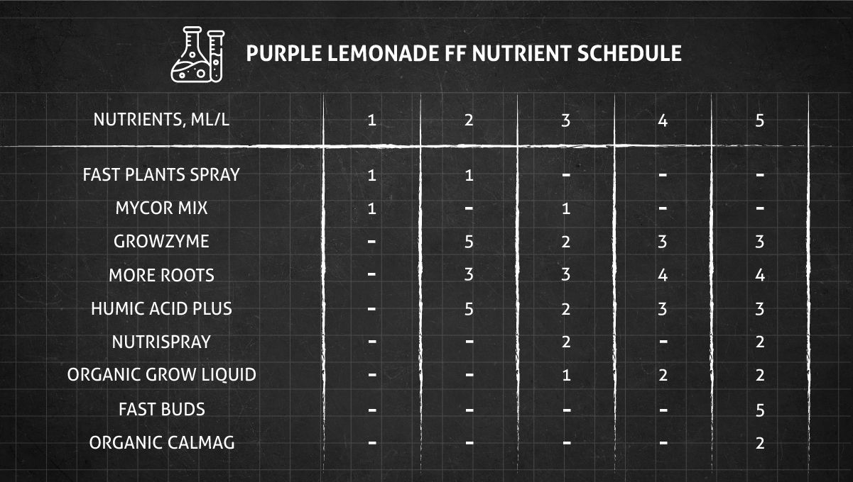 Purple Lemonade FF कैनाबिस स्ट्रेन: वेज न्यूट्रिएंट शेड्यूल