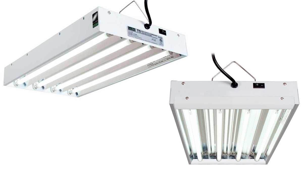Can you grow autos with CFLs: what are fluorescent lights?