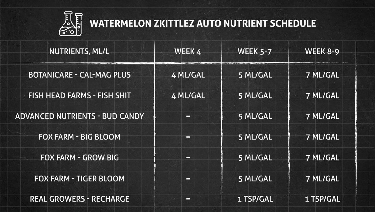 Watermelon Z Auto カンナビス品種: ベジと開花の給肥チャート