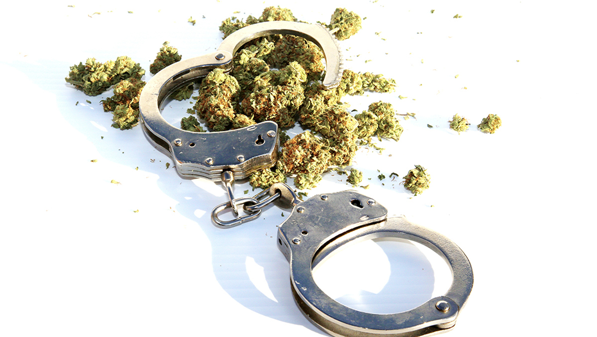 US Congress Urges Biden to Pardon All Those Convicted for Nonviolent Plants Offences: Handcuffs and some loose plants buds on a white background