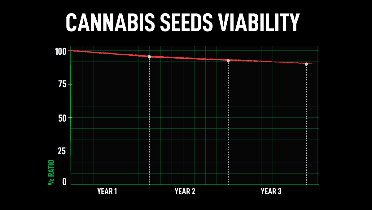 Fast Buds'ın Outlet'i nedir?