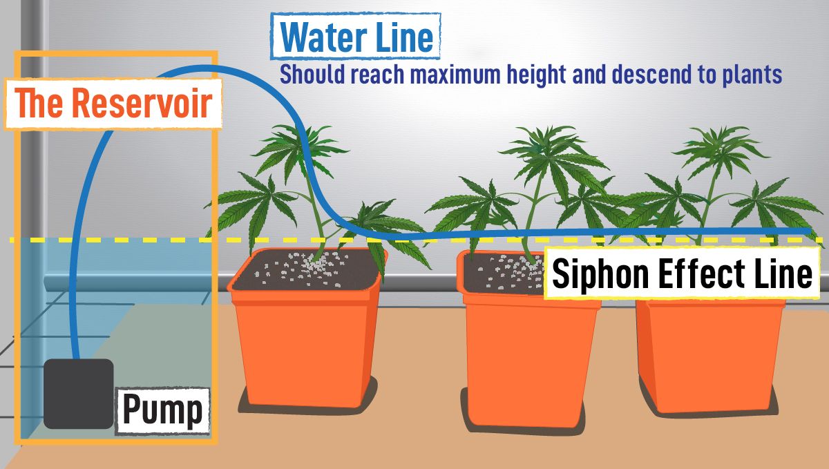 Automatic Drip Irrigation Setup for Indoor Cannabis Grow: Reservoir setup infographic