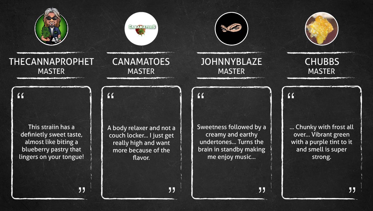 Purple Punch Auto Plants Seed Week-by-Week Guide: Quotes by growers describing the smoke