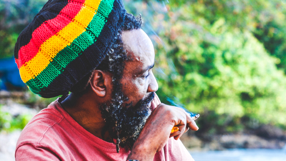 Plants in jamaica: medicinal plants