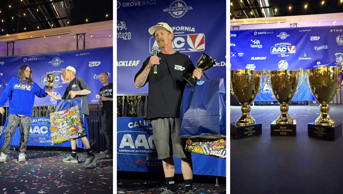 Slavimo našu trostruku pobjedu na American Autoflower Cup 2026, s nagradama i priznanjem.