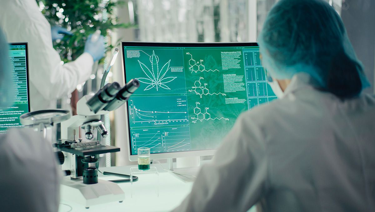 Verursacht das Rauchen von Plants am Abend einen Kater am nächsten Morgen: wissenschaftliche Forschung