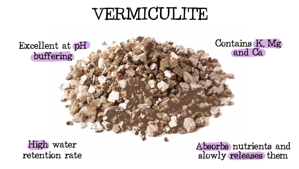 Drainage for Plants Plants: Why is it Important and How To Improve it - Vermiculite and its benefits