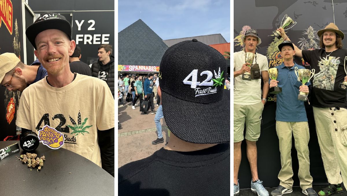 glimpses of spannabis 2024