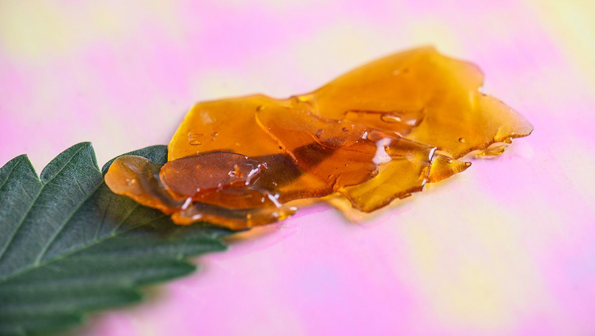 Cannabis Shatter: Mikä Se On, Miten Tehdä Ja Polttaa THC & CBD Hash Oilia: Hiukan rosinia tuoreen kannabiksen lehden päällä Cannabis Shatter: Mikä Se On, Miten Tehdä Ja Polttaa THC & CBD Hash Oilia: Hiukan rosinia tuoreen kannabiksen lehden päällä
