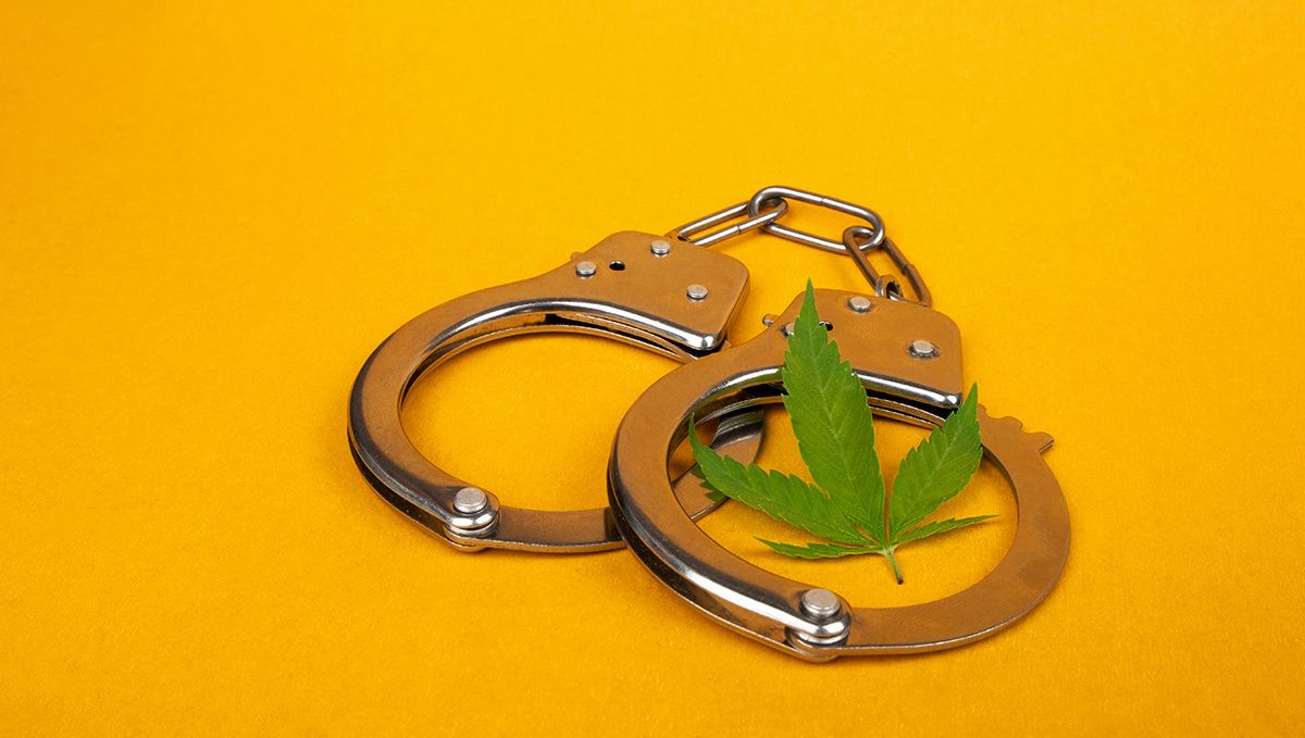 “marijuana”一词的起源：为什么被认为有种族主义背景