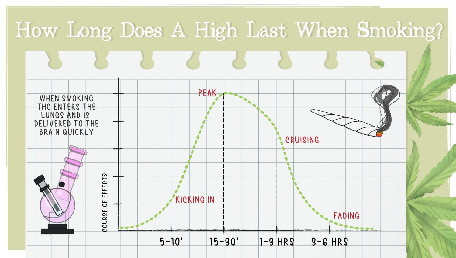 How Long Does a Weed High Last & What are the Effects of Cannabis: An infographic showing the timeline of cannabis effects when it's smoked
