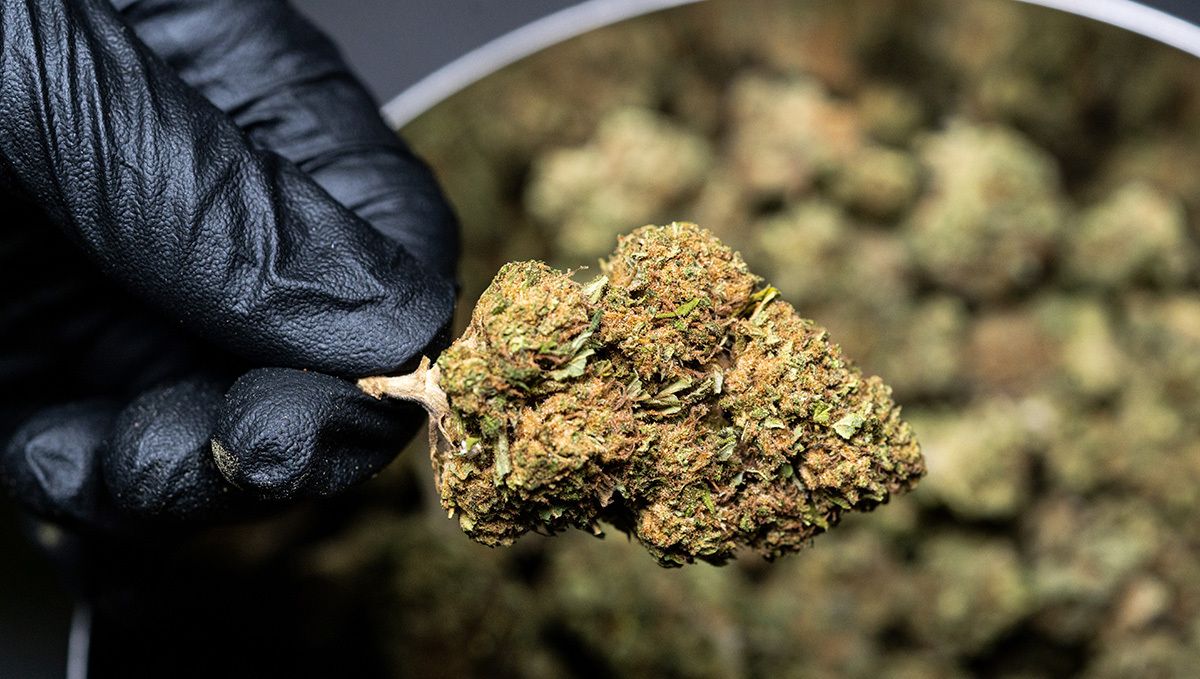 How to store cannabis: do's
