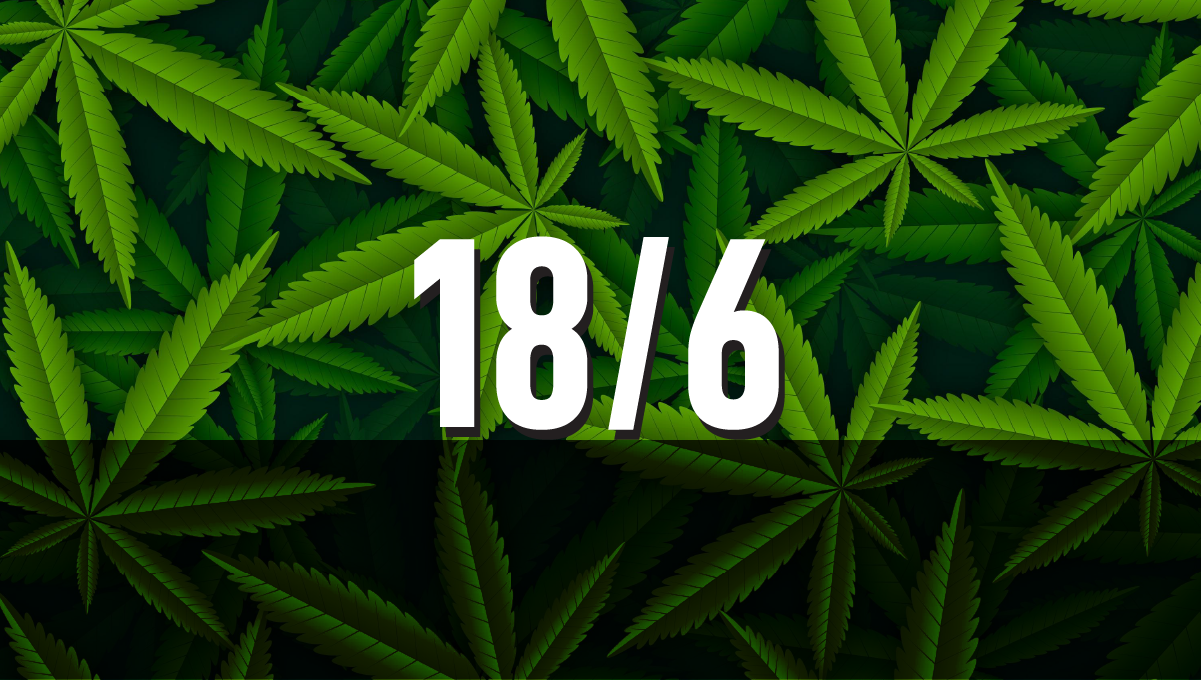 Bedste lysplan for autoflowers: 18/6 Lyscyklus for cannabisplanter