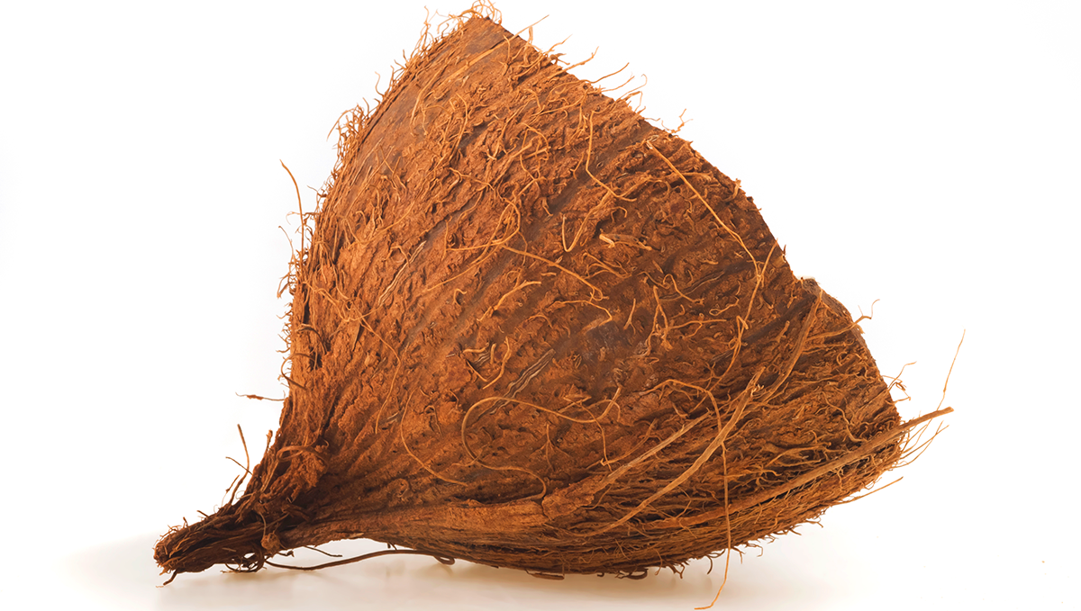 How to grow auto in coco coir: what is coco coir? How to grow auto in coco coir: what is coco coir?