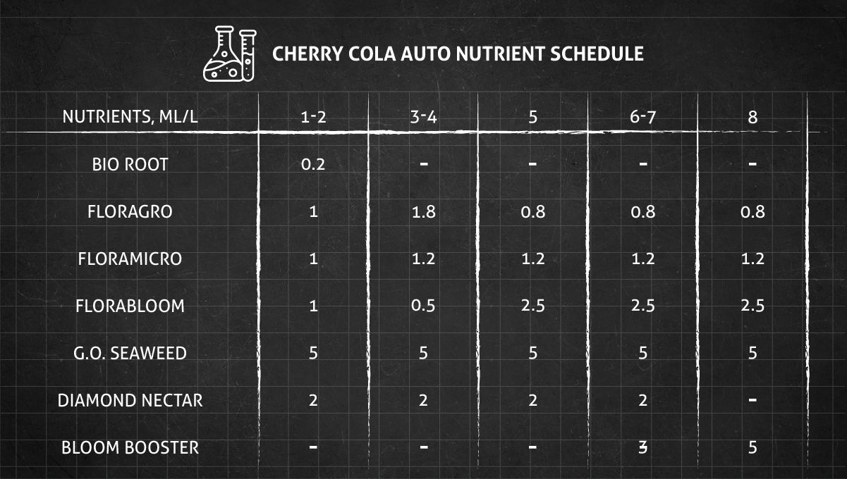 ตารางปุ๋ย Cherry Cola Auto ช่วงต้นและออกดอก