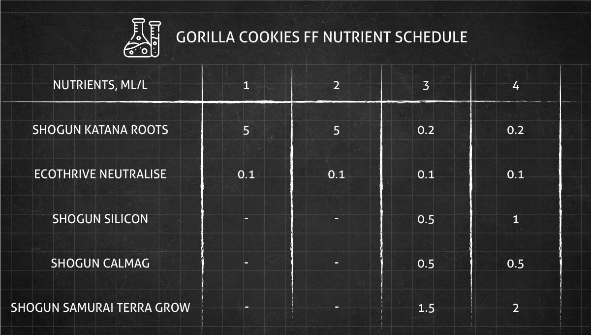Gorilla Cookies FF cannabis strain: veg nutrient schedule