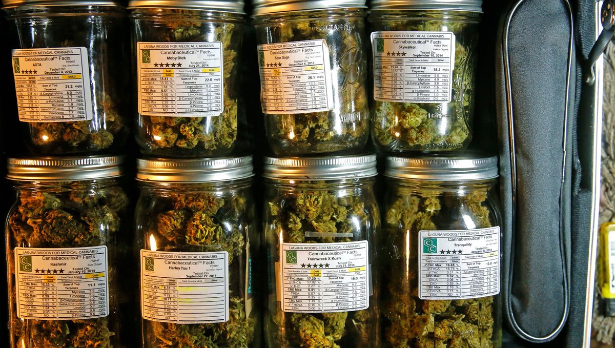 BubbleGum Auto: curing BubbleGum Auto: curing