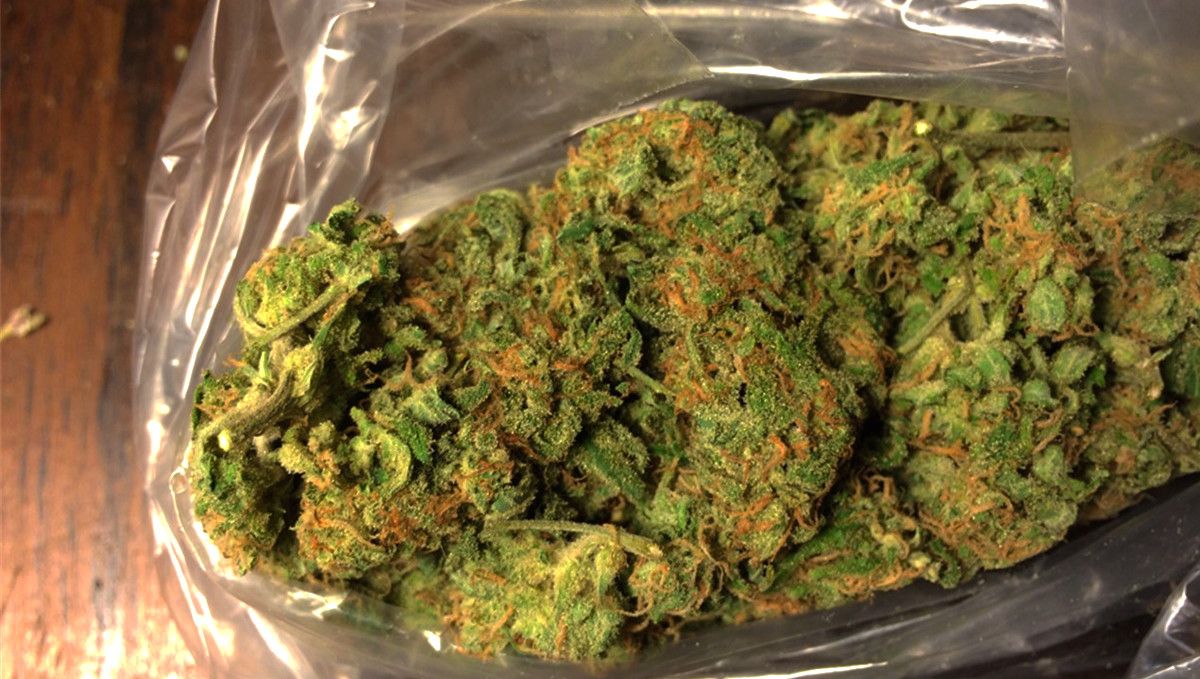15 Best Strains for Male Arousal in 2022: Atomic Northern Lights