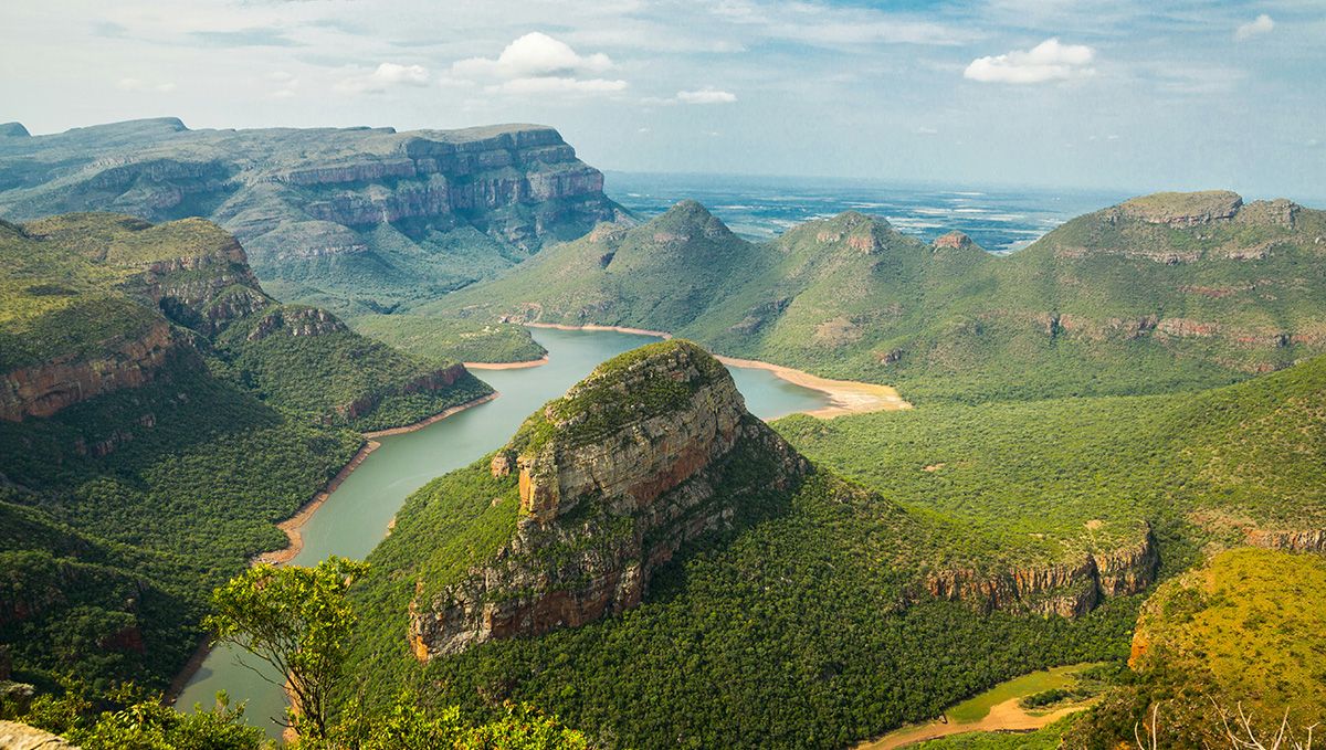 Weed in South Africa: Cannabis Legal Status Guide: A view of forest-covered mountains