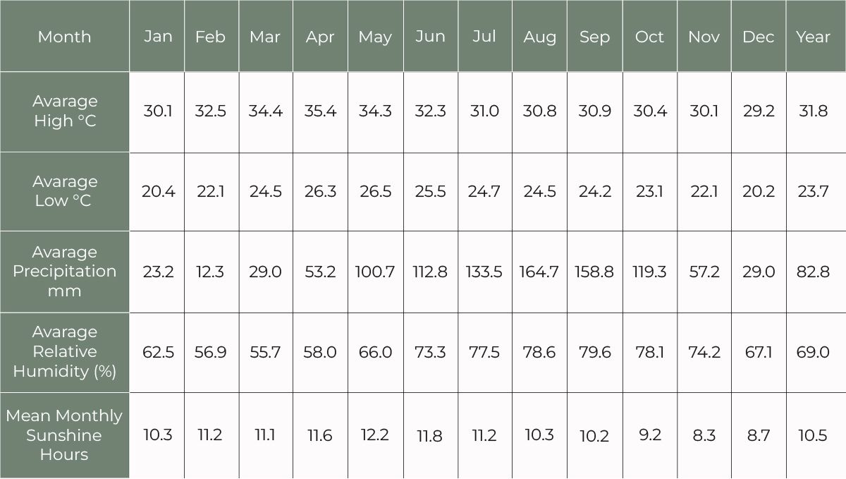 Features of growing plants in Thailand: Average weather conditions
