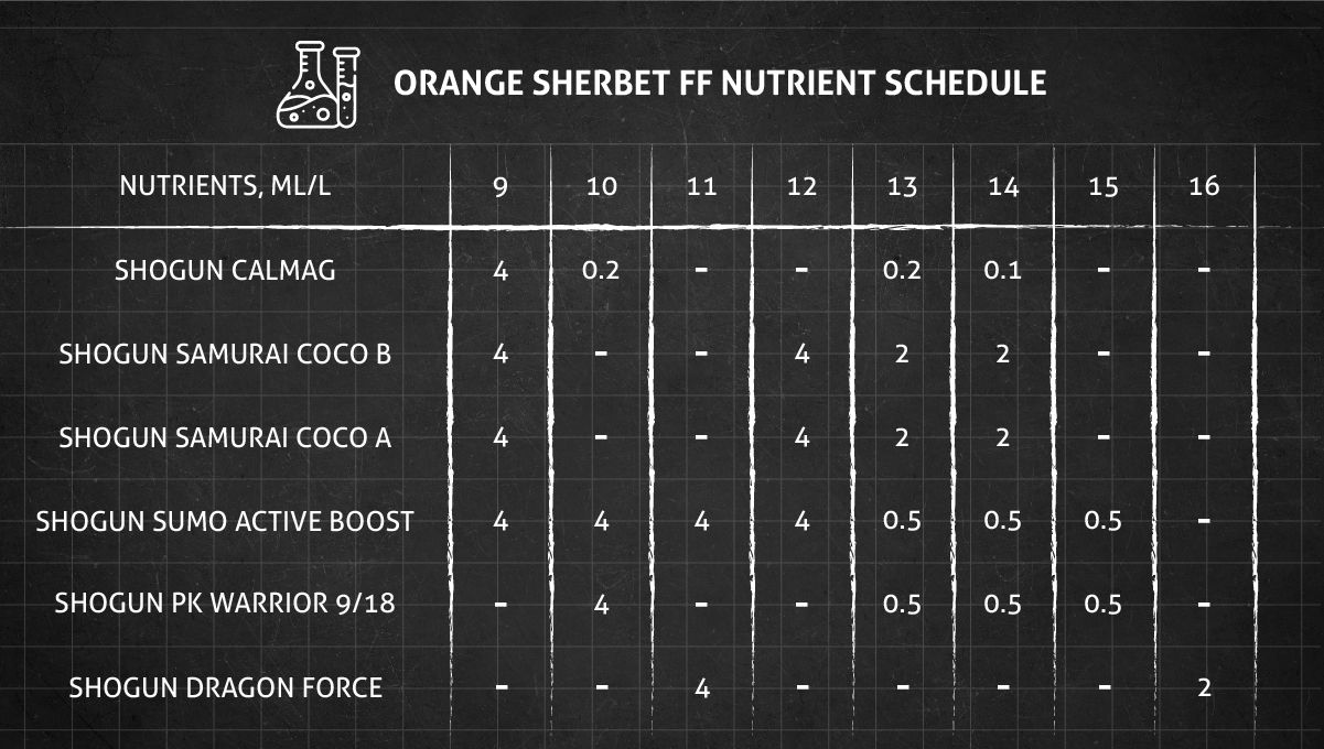 Orange Sherbet FF cannabis strain: flower nutrient schedule