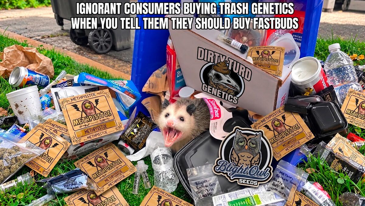 Discord meme