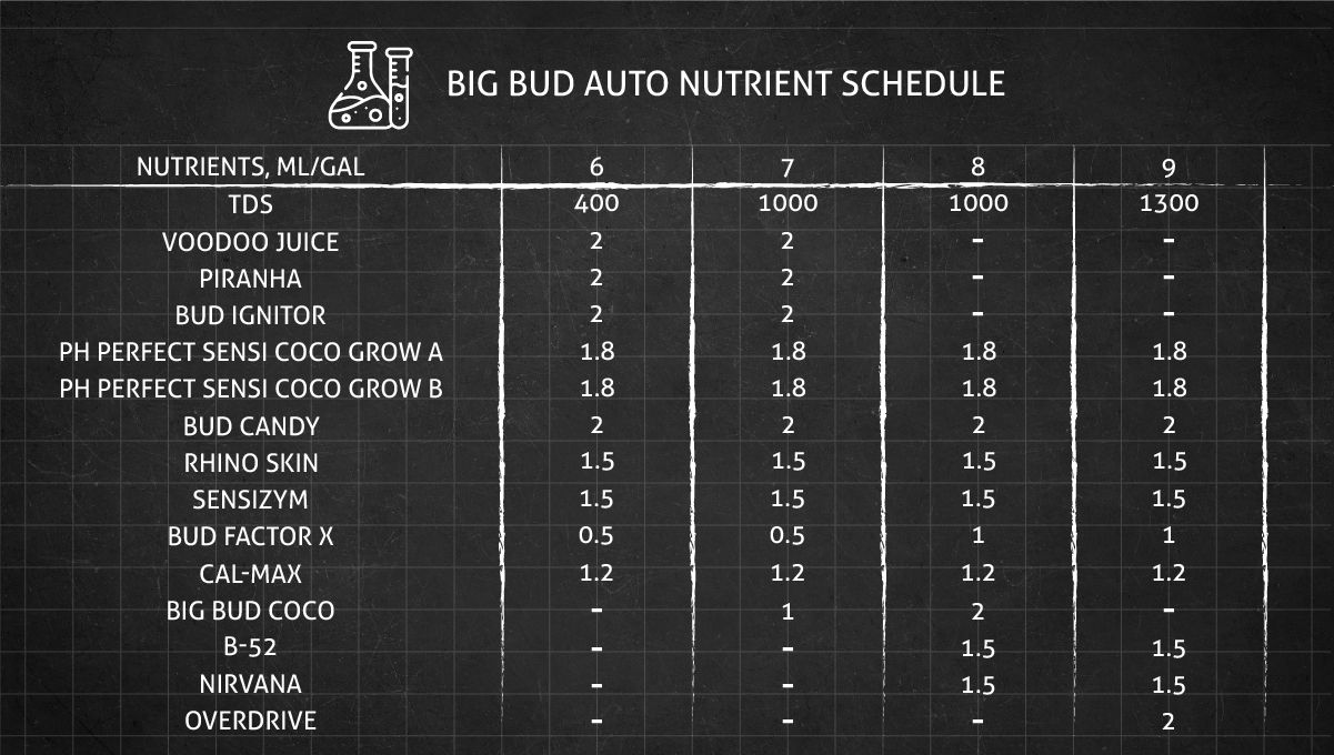 Big Bud Auto Cannabis Strain: feeding schedule for the flowering stage
