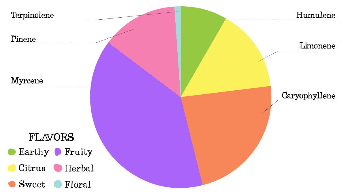 Strawberry Banana Auto Cannabis Strain Week-by-Week Guide: Terpene profile pie chart