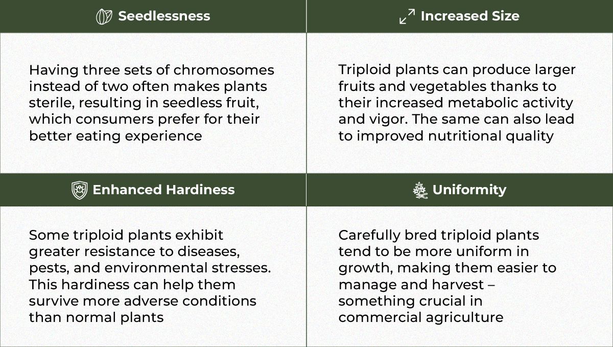 Das Potenzial der triploiden Genetik zur Revolutionierung der Plantsindustrie: Die Vorteile